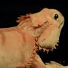 Lilizzhoumax Bearded Dragon Plush Toy, Simulation Reptile Lizard, Stuffed Animal, Fun Pillow, Kids Toy, Cushion, Entryway Gift, Home Decor, Hug Toy,