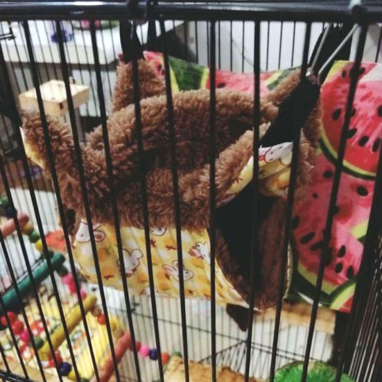 Double Level Small Pet Hamster Squirrel Parrot Hanging Warm Hammock Nests Cage