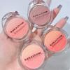 Natural Gradient Blush Powder Matte Shimmer Daily Face Makeup For Women