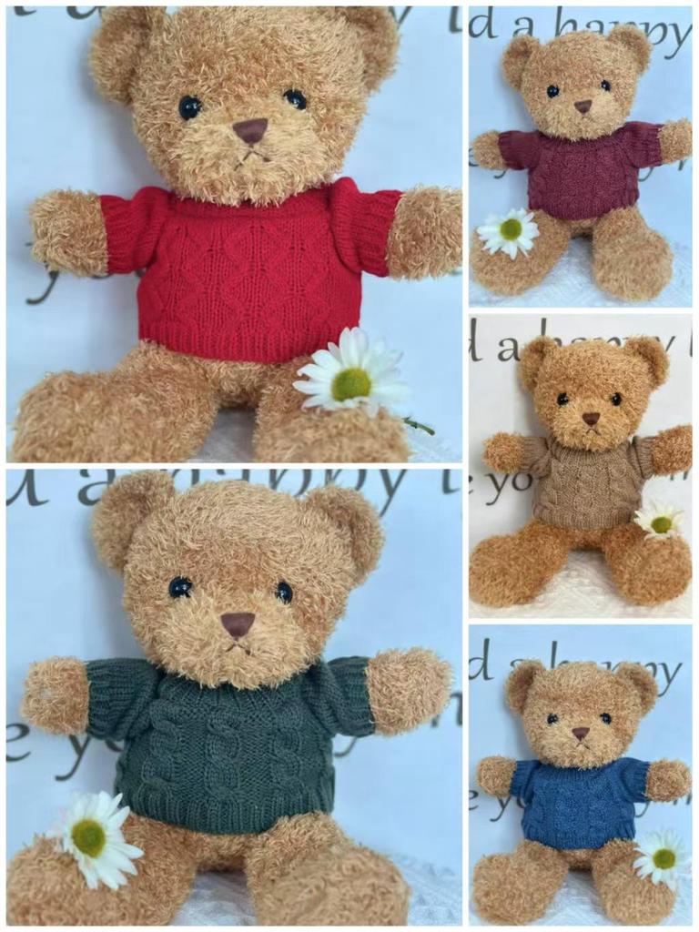 Teddy Bear Sweatshirt: Plush Doll Clothing Accessory