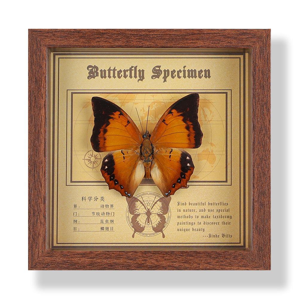 Real butterfly specimen photo frame, decorative painting, 3D ornament, handmade DIY, birthday gift, insect specimen