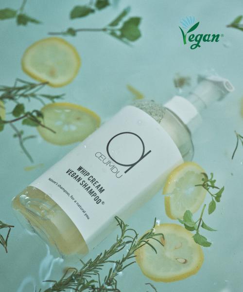 [Set] Whipped Cream Vegan Shampoo 500ml + Cream Bread Treatment 250ml