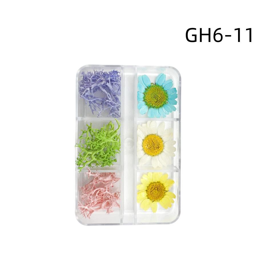 6-Grid Natural Dried Flowers for Nail Art - Japanese Style Sunflower & Baby's Breath DIY Decorations
