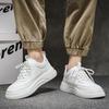 Men's shoes 2025 new summer velvet cotton shoes versatile sports board shoes men's casual leather shoes heightened white tide shoes