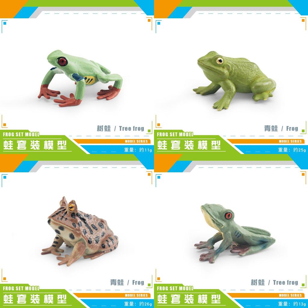 Wildlife Pvc Animal Models With Realistic Frog Collection For Children Educational Decor