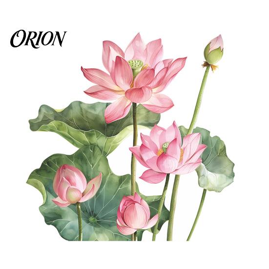 Waterproof Lotus Flower Stickers Leaf Toilet Sticker, Peel and Stick Bathroom Nursery Wall Decor Decal, Removable Lid Sticker