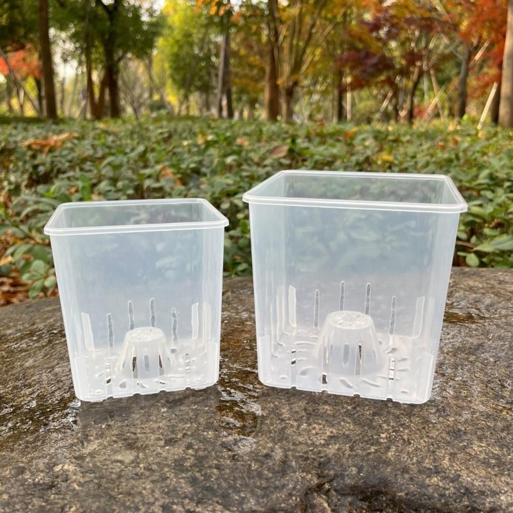 Square Clear Flower Pots Ventilated Drainage Holes Breathable Seedling Cups Indoor Orchid Growing