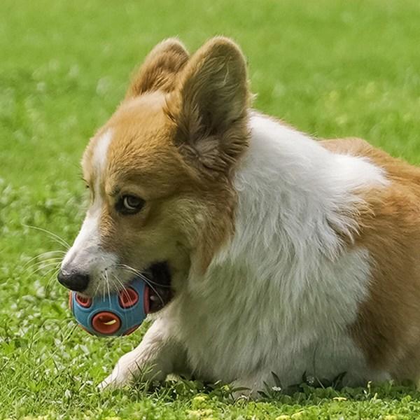 Ding Dong Pet Jucărie LED Clopoțel Minge Mare 8cm, Culori Mixte, 1 Bucată