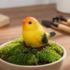 Harz-Vogelfigur Realistisches Design Kleine Finkenstatue Mini-Harzvogel Handbemalte Miniatur-Landschaftsdekoration für Heimwerker