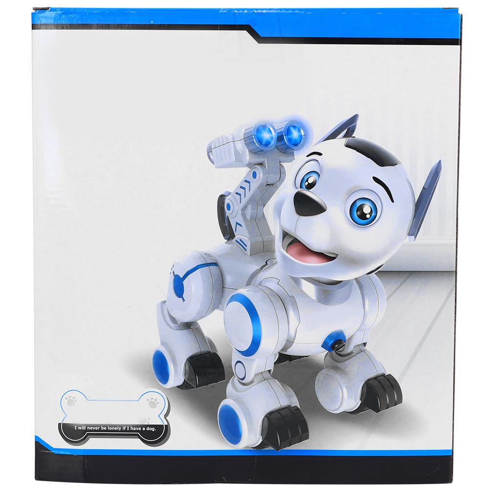 fisca robot dog