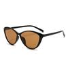 Cat eye sunglasses women's new sunglasses men's retro white advanced sunglasses OZ