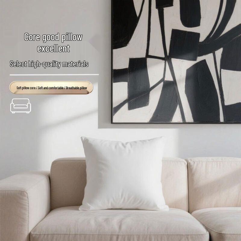 Throw Pillow Cushion Insert