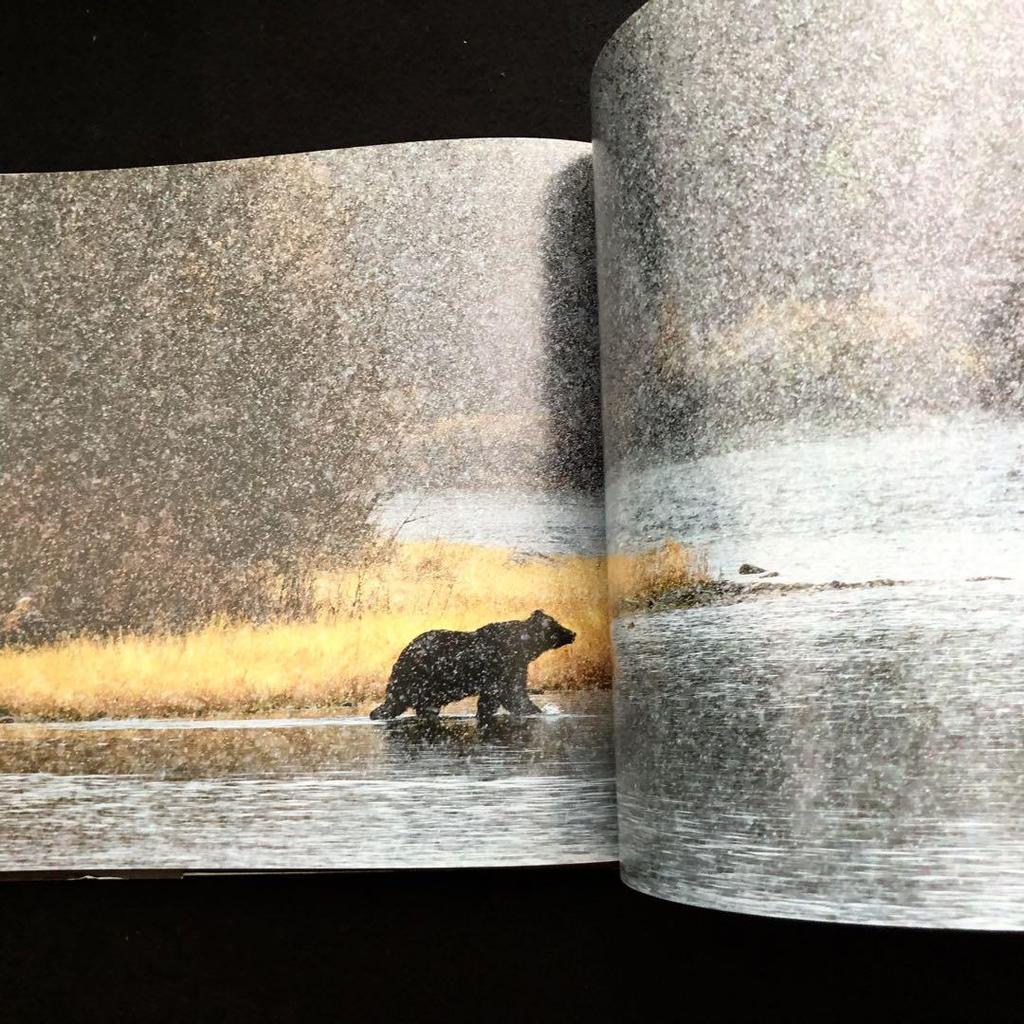 [USED] Paul Nicklen Photo Collection "Bear: Spirit of the Wild