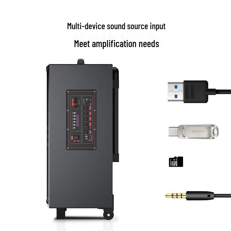 Aigo S312 12-inch Portable PA Speaker