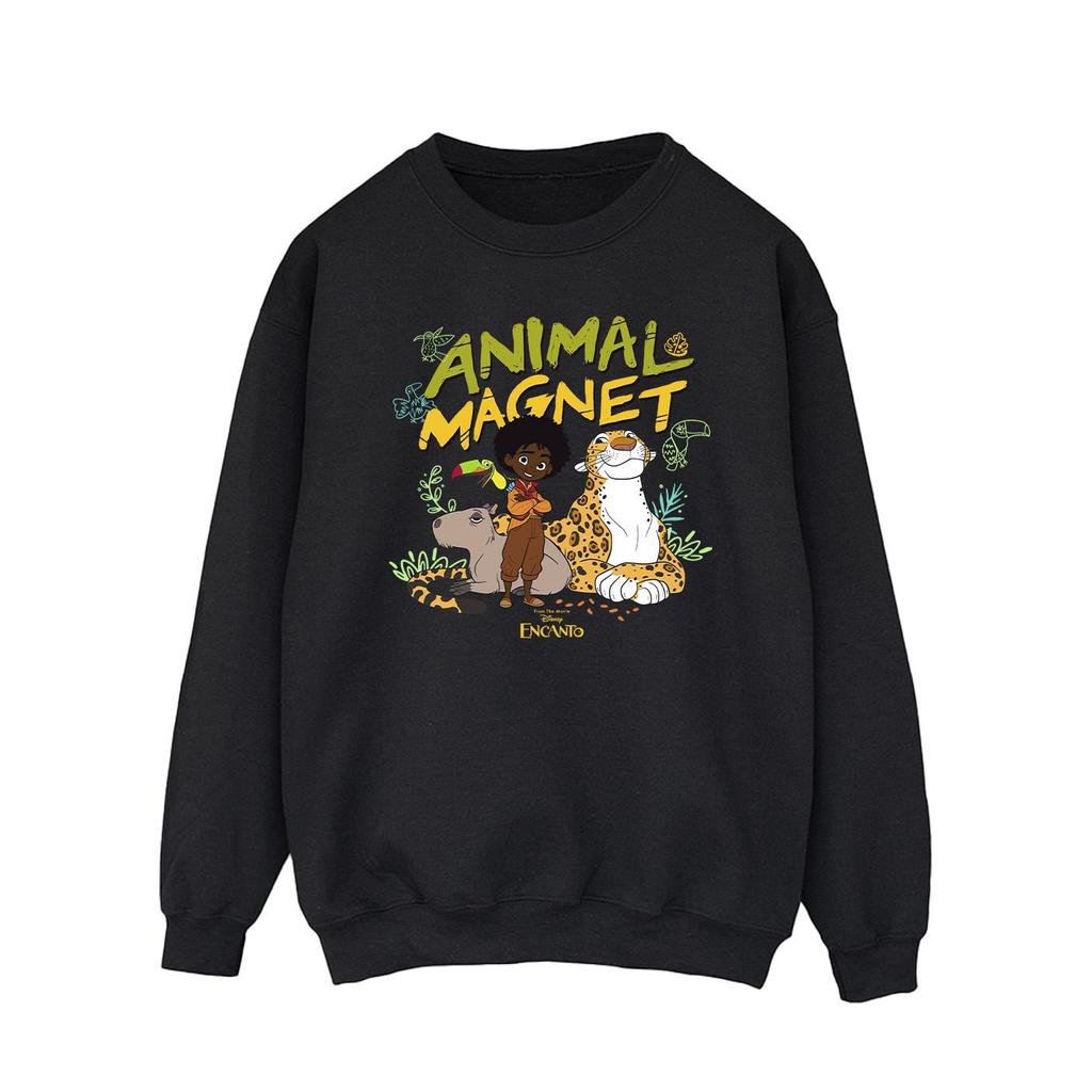 Disney Mens Encanto Animal Magnet Sweatshirt