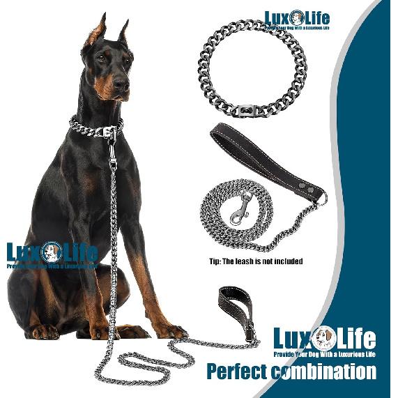 Stainless Steel Dog Chain Collar with Quick Release Buckle, Heavy Duty Anti-Rust Metal Chain Collar for Small Large Medium Dogs, Secure & Durable Dog