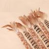 Realistic Feather Duster Wand Jute Handle Interactive Play Toy