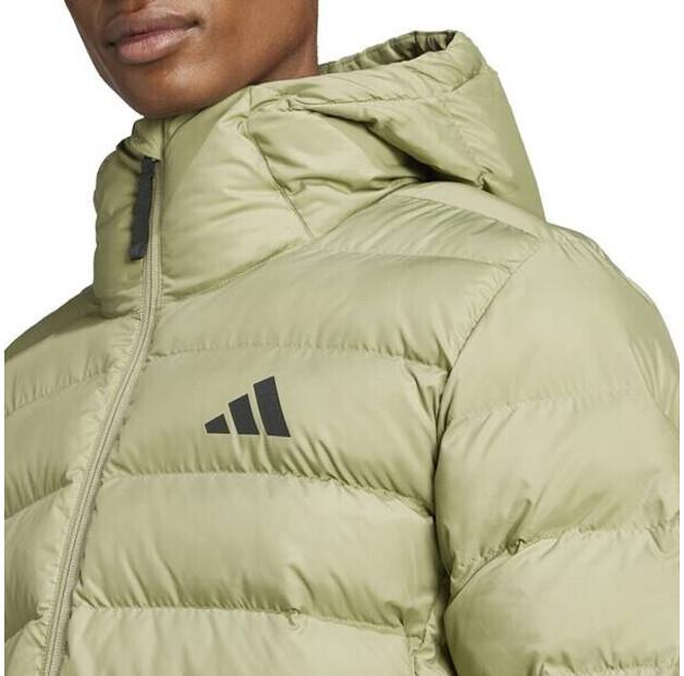 Adidas Man SDP Insulated Jacket