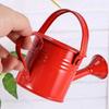 1pc Metal Watering Can Garden Flower Kettle Mini Small Water Spraying Pot Sprinkle Large Capacity Watering System Garden Tools