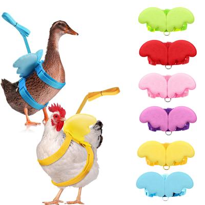 Haustier Outdoor Walking Hen Verstellbare Outdoor-Trainingsleine
