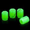 20PCS Luminous Car Tire Valve Cap Fluorescent Night Glowing Decor Motorcycle Bike Wheel Nozzle Dustproof Tyre Valve Stem Caps