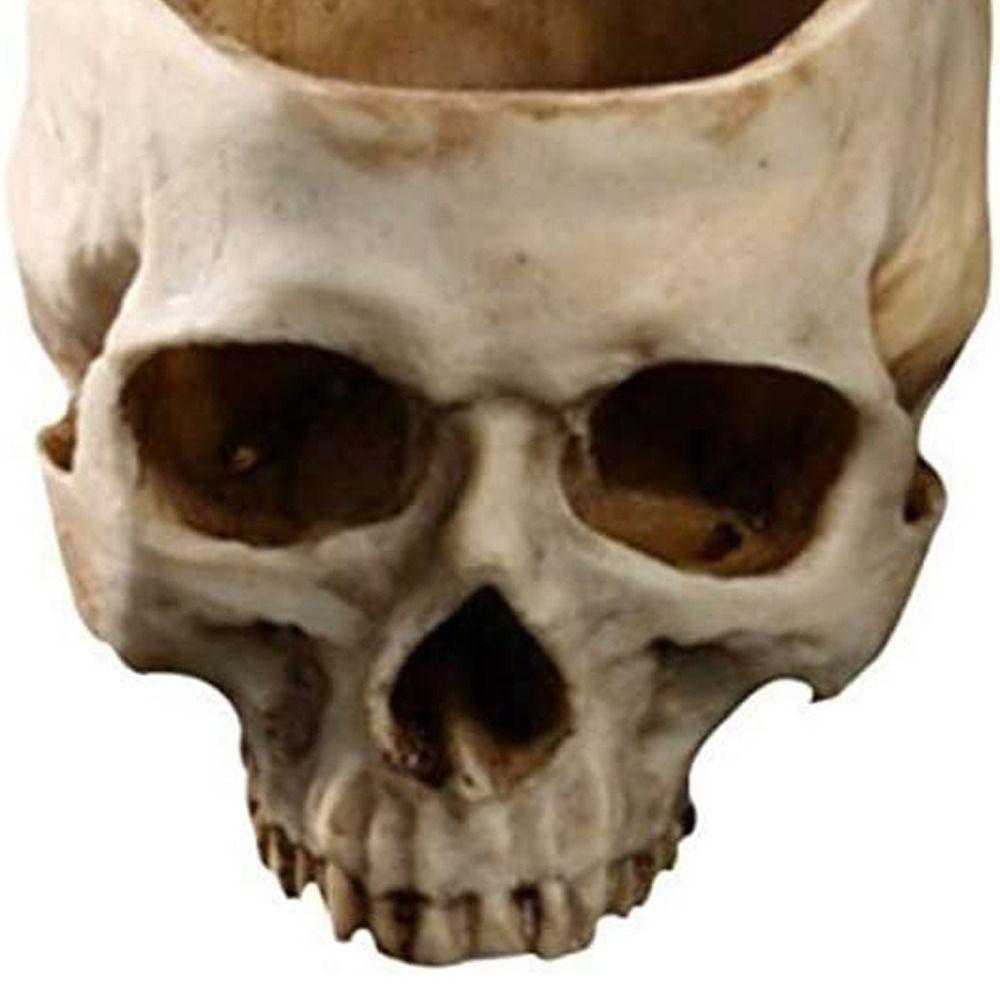 Office Sugar Container For Home Decor Flower Candy Bowl Skull Flower Pot Fake Skull Skull Planter
