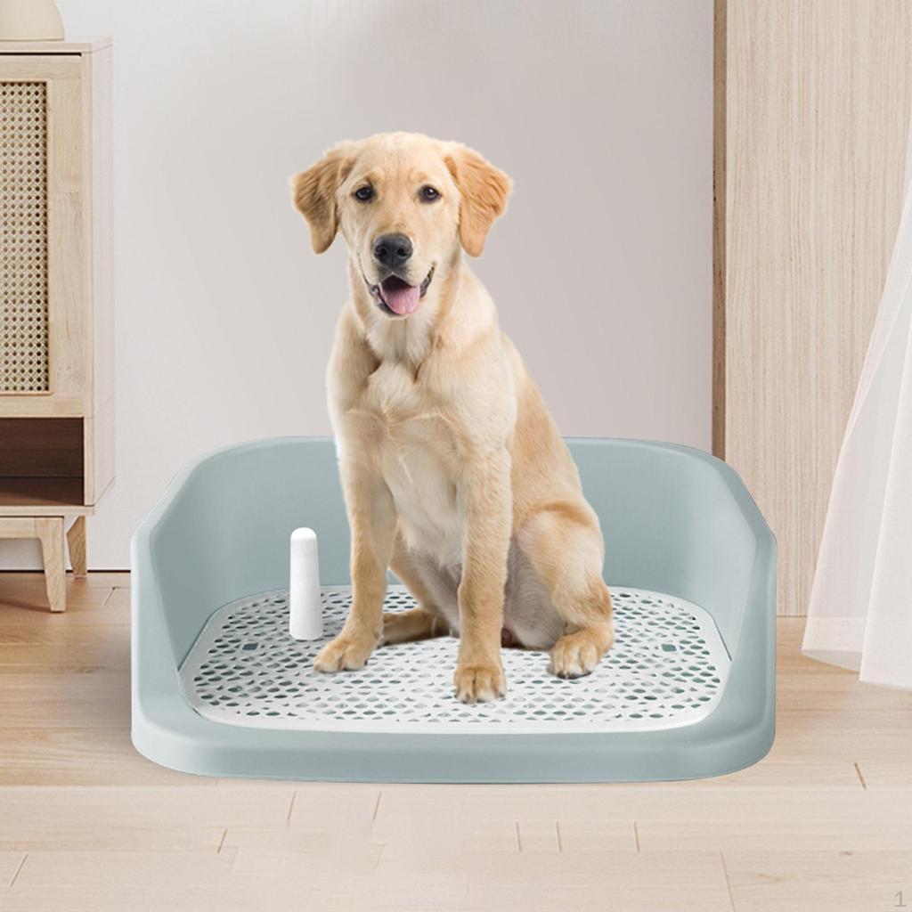Dog Potty Tray for , Indoor Training Tool