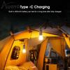 New solar powered charging camping lamp, atmosphere lamp, multifunctional handheld tungsten filament lamp, outdoor retro camping
