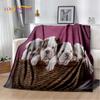 Cartoon French Pit Bull Dog Pet Soft Plush Blanket,Flannel Blanket Throw Blanket for Living Room Bedroom Bed Sofa Picnic Cover