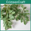 Artificial Elm Leaf Wedding Home Decor Plant For Indoor Celebration