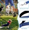Polypropylene Extended Dog Leash - 6m, 10m, 20m, 30m for Walking
