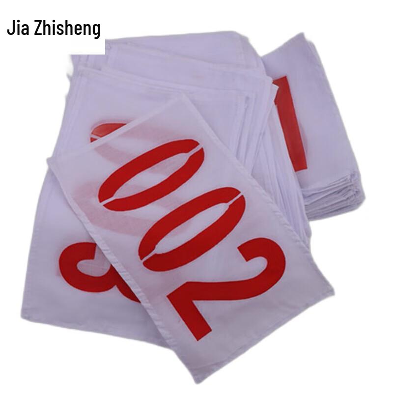 Athlete Race Bib with Pins (25x17cm)
