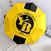 BSC Young Boys Pattern, Automatic Folding Umbrella, Portable and Foldable Design, 8 Ribs, a Christmas or Birthday Gift.