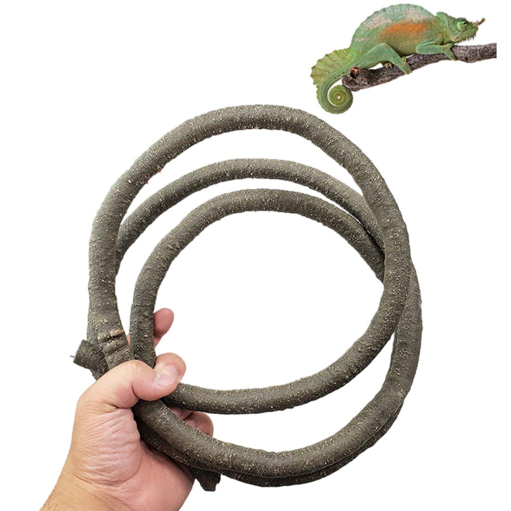 Reptilien Pflanzenversteck Liane Ast Blätter Terrarium Dschungel Lebensraum für Echsen Geckos Schlange Dekorative Kunstpflanze