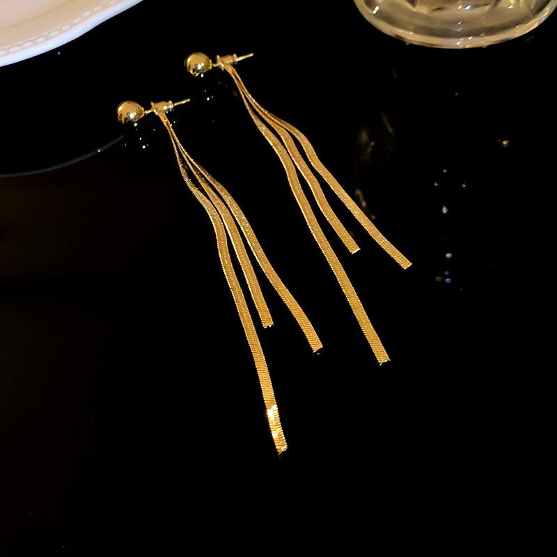 

Silver Needle Metal Long Fringed Earrings European and American Personality Fashion Stud Earrings High Sense Niche Versatile Earrings Women