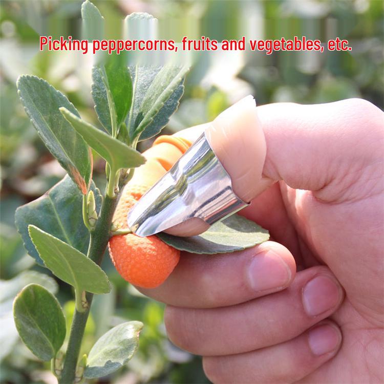 Stainless Steel Multifunctional Thumb Knife and Fingernail Protector