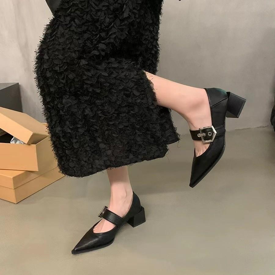 Single shoes high heels thick heel Mary women's shoes Zizhen French retro small leather shoes pointed 2025 new spring and autumn single shoes