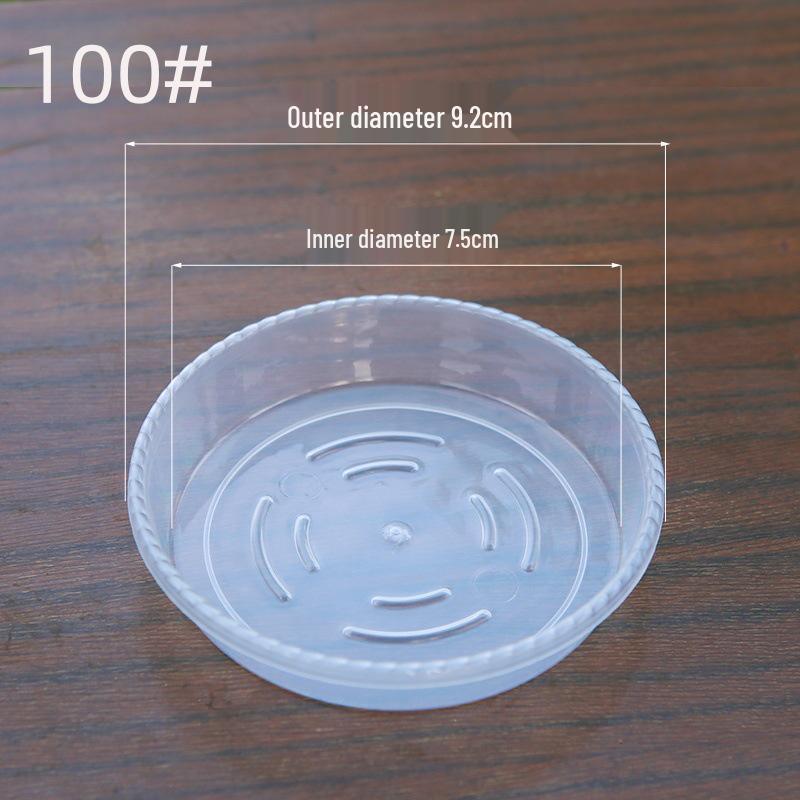 Transparent Breathable Flower Pot for Phalaenopsis and Dendrobium - Root Control Design