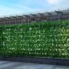 Üppig grünes künstliches Blattzaunpanel für Außendekoration und Sichtschutz