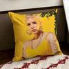 Singer HHalsey Cushion Cover Reversible Soft Durable Pillow Cover Home  Car MultiScene Use for Daily Comfort