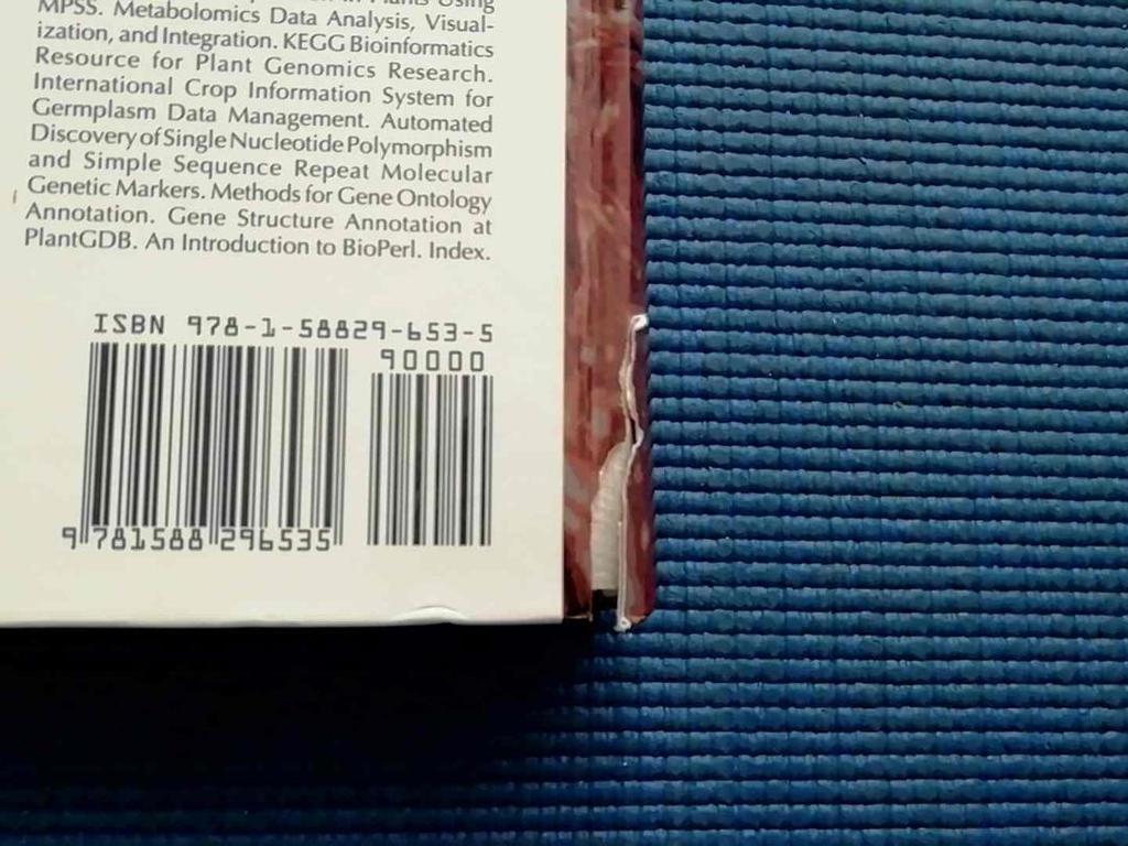 [USED] Book Plant Bioinformatics (cover Torn) English