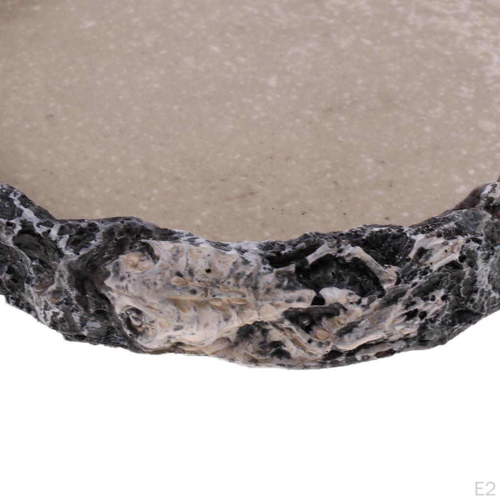 Reptile Vivarium Terrarium Feeding Bowl Tortoise Lizard Gecko Water Food Worm Feeder Basin Shaped