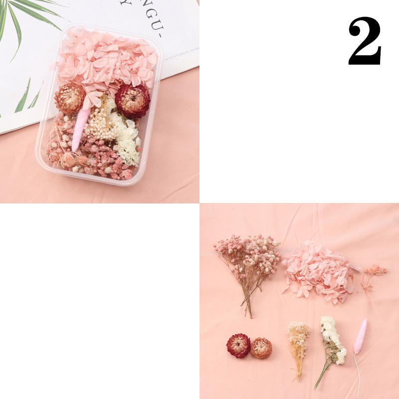 

Штучні рослини Натуральні справжні засушені квіти Для свічок Форми Епоксидна смола Виготовлення своїми руками Прикраси Аксесуари для дому Ремесла