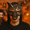Half Face Halloween Mask Animal Cosplay Mask Punk Masquerade Mask  Men