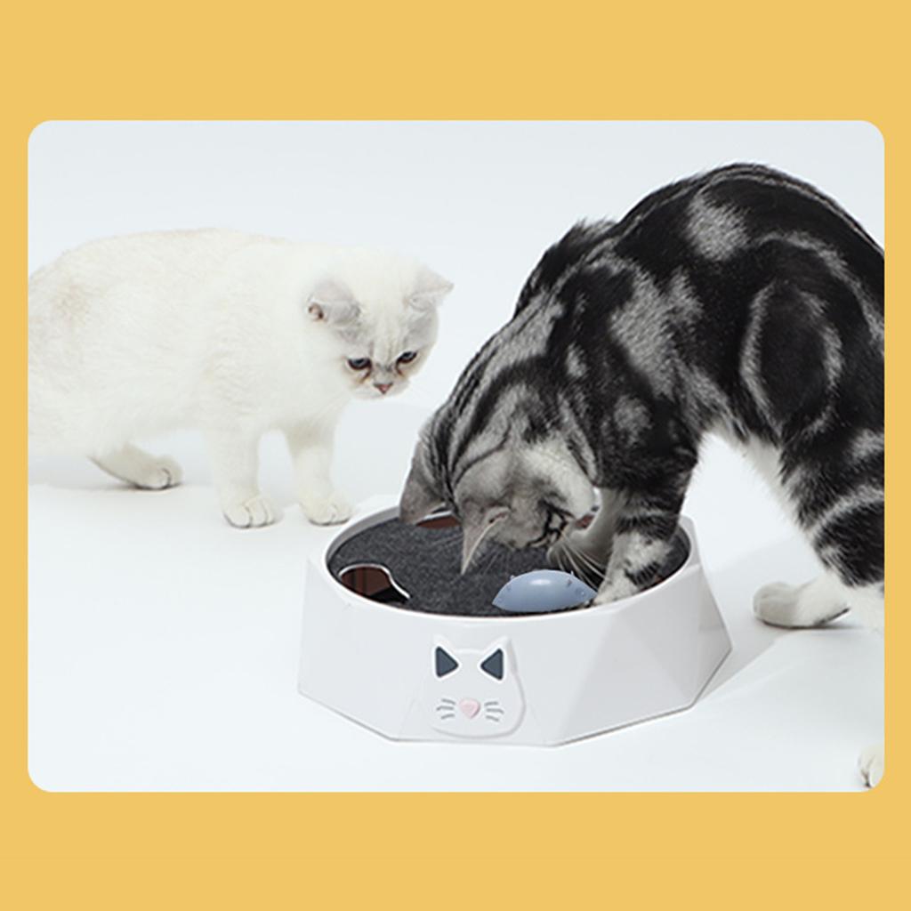Interactive Cat Turntable Electric 2 Speed Adjustable Automatic Puzzle Catch Mouse Play Cat Toy for