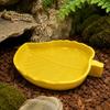 Molded Plant-Form Bowl Pair for Small Herps, Textured Plastic Dishes with Open Interiors for Food or Drinking Water