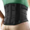 Adjustable Breathable Mesh Lumbar Back Brace Waist Support Back Support for Adults Manufacturer's Sports Equipment