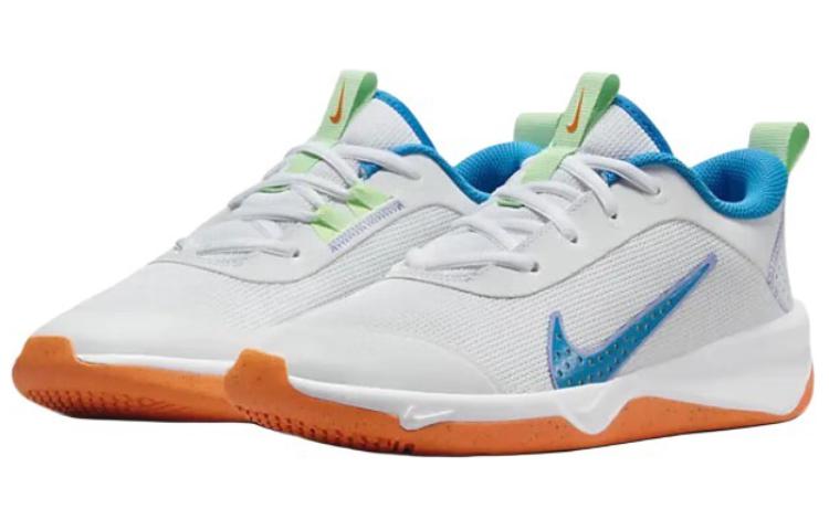 Nike Omni Multi-Court GS 'White Photo Blue' DM9027-107