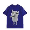 Cat Smoking Cigar Funny Meme Graphic T Shirts Men Women Fashion Vintage Short Sleeve T-shirts Summer Loose Cotton T-shirt