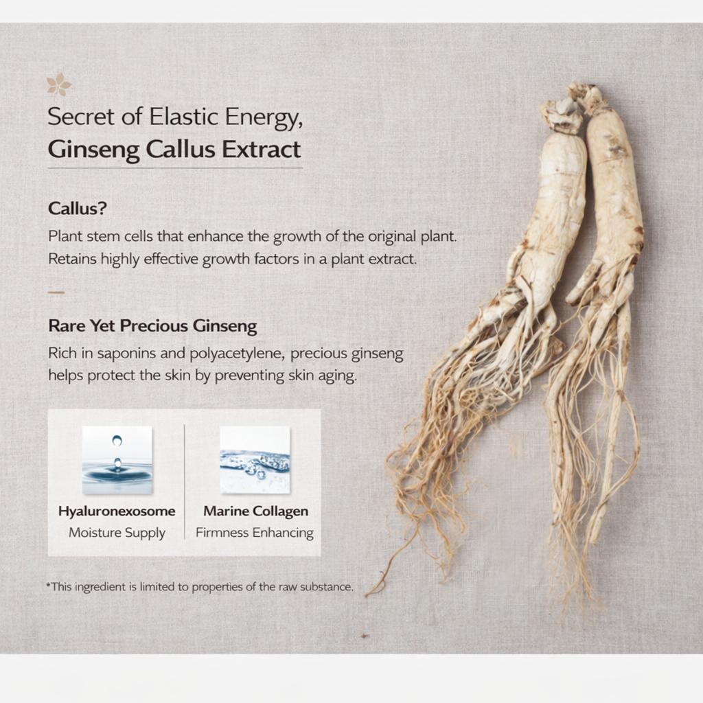 JAYJUN Collagen Skin Fit Mask 2-Step (3 Options)